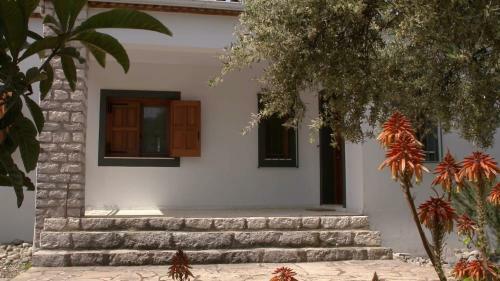 Ionianeon Apartments