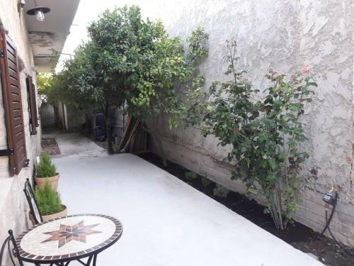 Apartamento The Wild Rose