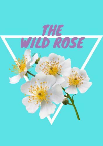 Apartamento The Wild Rose