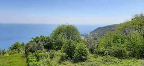 Apartamento Paradise View