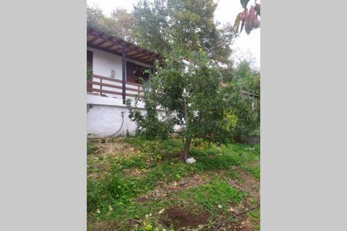 Maro's Guesthouse