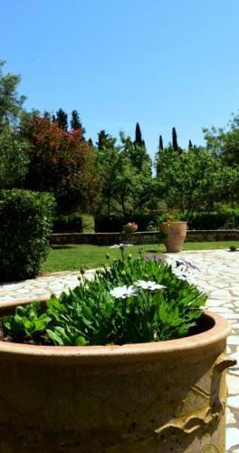 Zen House Corfu