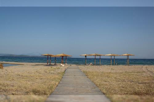 Villa Medusa Gorgon