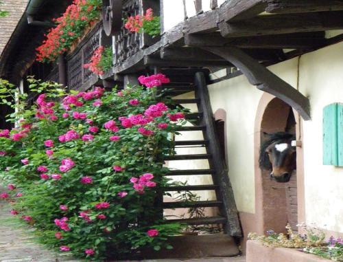 Bed & Breakfast Maison D'h�tes "au Fil Du Temps"