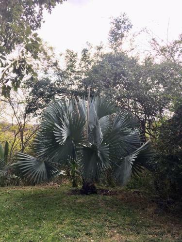 Lodge Hotel Carrizal Spa