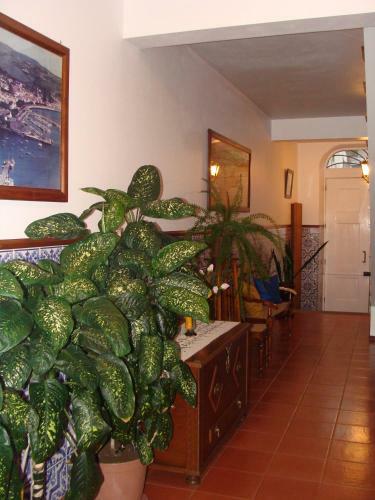 Apartamentos S�o Jo�o