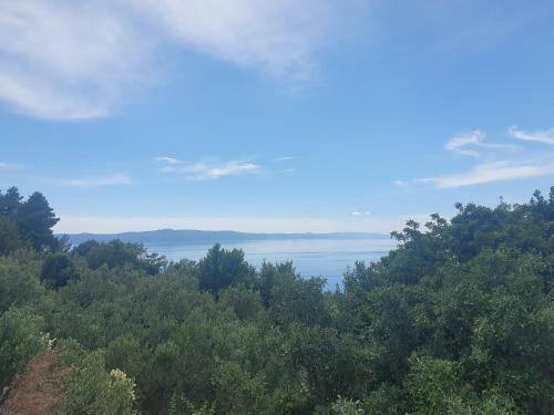 Apartamento Villa Jerkovi?-secluded House With Pool
