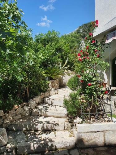 Apartments Jerkovi?-3bd