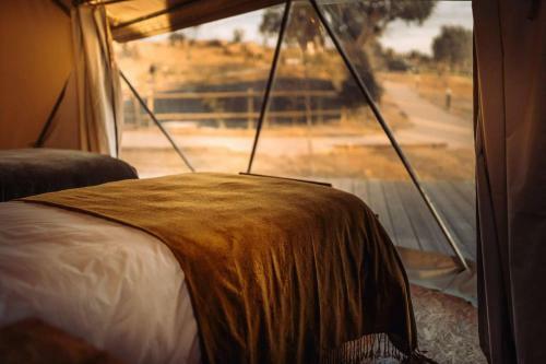Gavi�o Nature Village