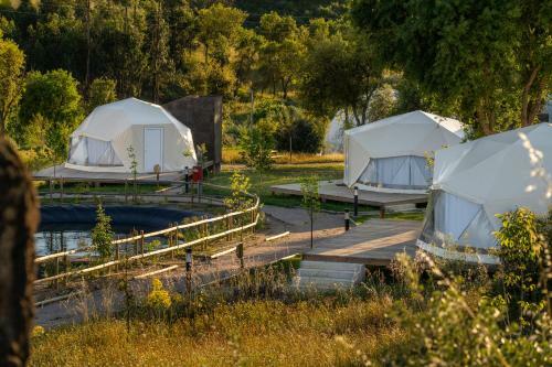 Gavi�o Nature Village