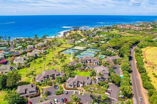 Kahala #322
