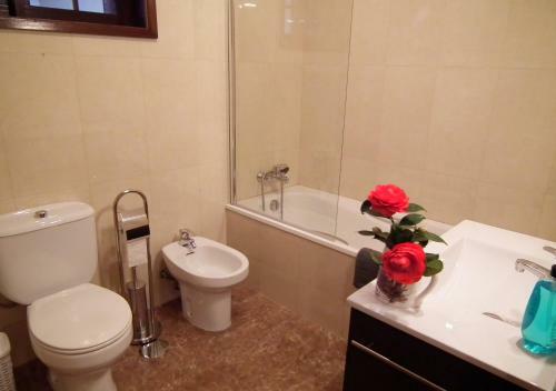 Hostal Areias Do Douro Guesthouse
