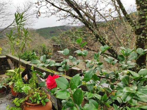 Casa Em Xisto Na Serra Da Lous�, Gondramaz