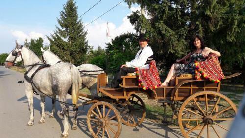 Apartamento Opg ?elikovi?