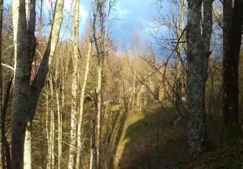 Holiday Home Dub - Forest Nature