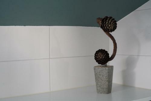 Apartamento Azores Protea House