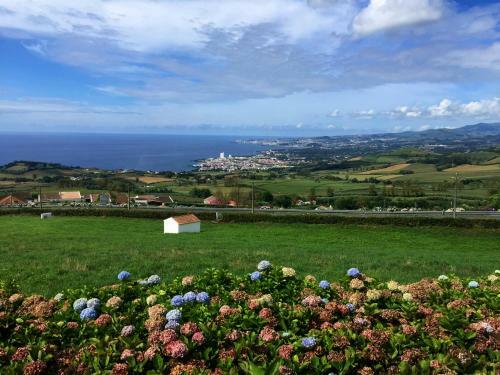 Villa Flor Do Monte