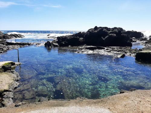 Vila Nikau - Garden By The Sea