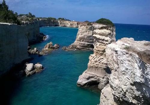Centro Vacanze La Pineta