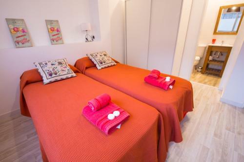 Amazing Studio Apartment