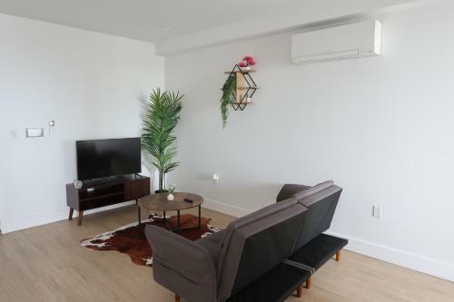 Spacious 2-bedroom Apartment With Lounge & Rooftop