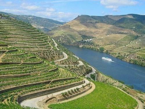 Farmhouse Douro With Amazing Views