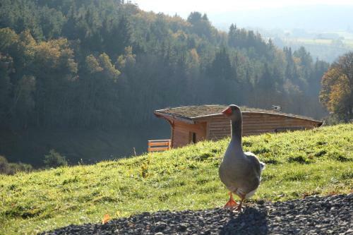 Hotel Les Volca'lodges De Tournebise