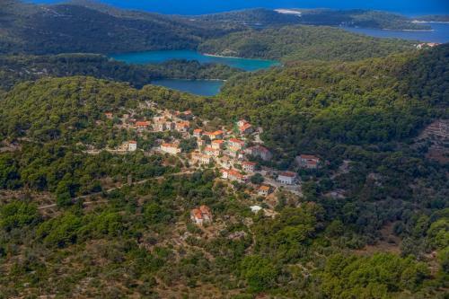 Apartamento Agriculture & Holiday House Lasko