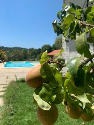 Agroturismo Quinta Do Cojo