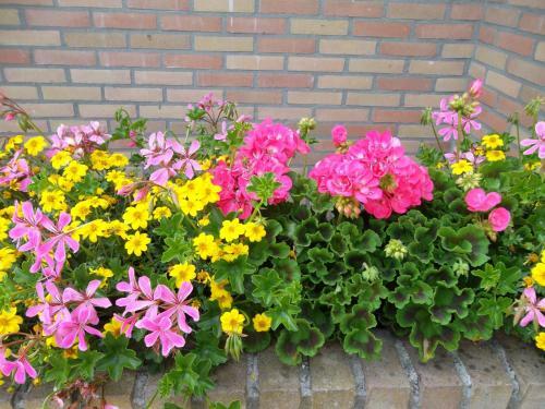 Bed & Breakfast Hof Van Lutten