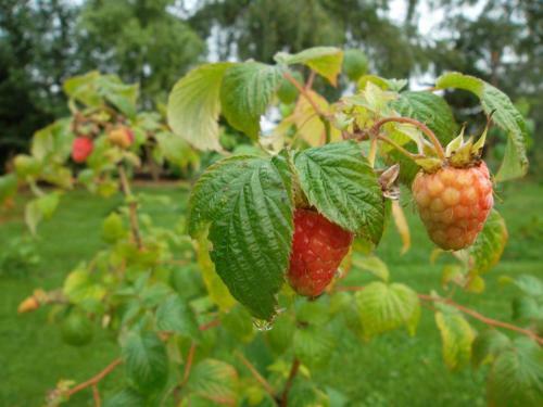 Bed & Breakfast Hof Van Lutten