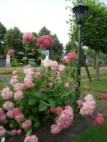 Bed & Breakfast Hof Van Lutten
