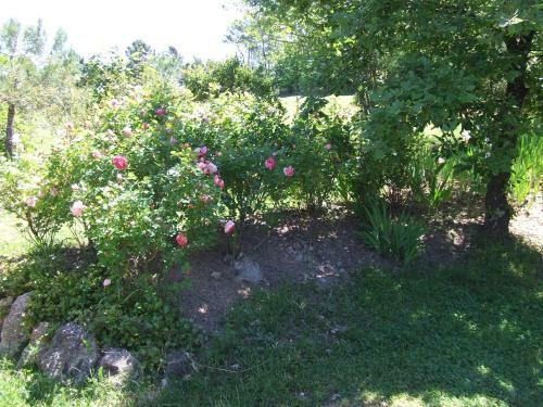 Bed & Breakfast Domaine Du Planas