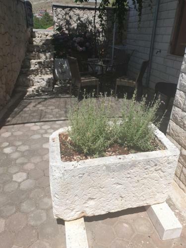 Apartmani "mary"