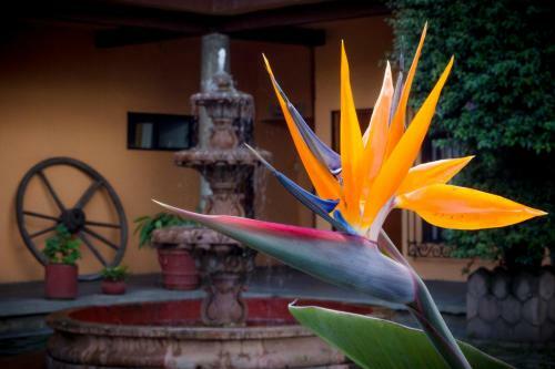 Hotel El Pueblito De Fortin