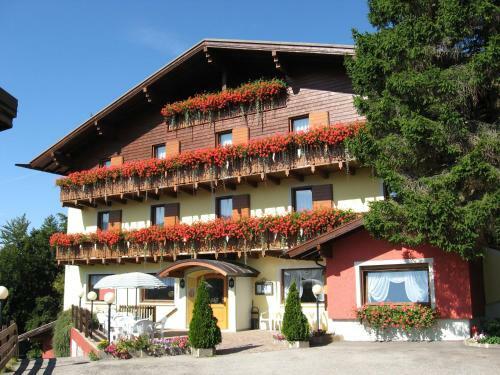 Hotel Albergo Villa Cristina