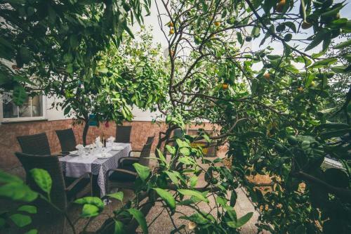 Apartamento Deluxe Garden