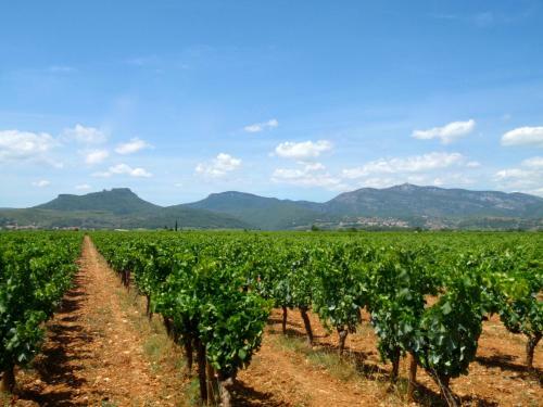 Bed & Breakfast Ch�teau De Jonqui�res (h�rault)