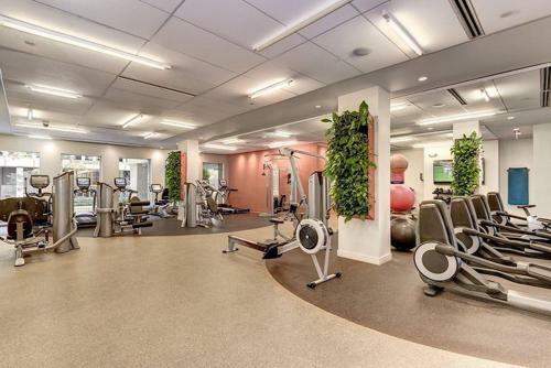 Luxury Apartments In Arlington Va