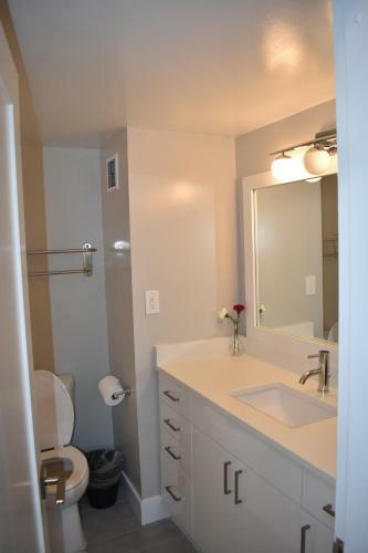 Luxury Apartments In Arlington Va