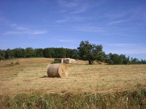 Agroturismo Agriturismo Bio Le Macchie Alte