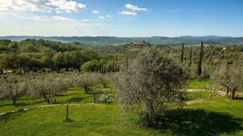 Agroturismo Agriturismo Bio Le Macchie Alte