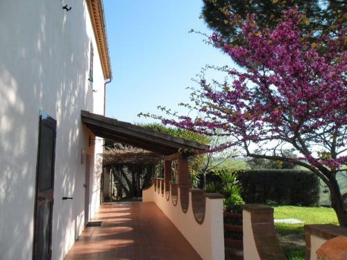 Agroturismo Poggio Petrella