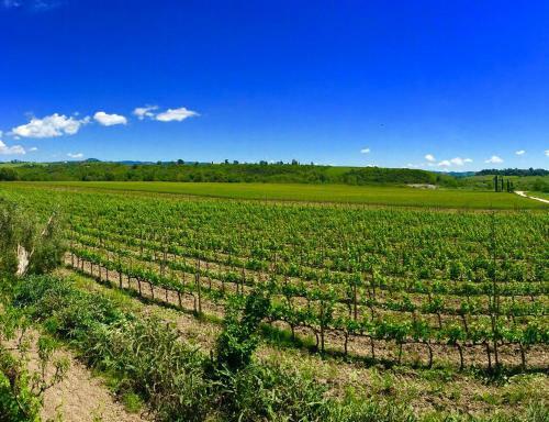 Agroturismo Il Girasole Terzuolo