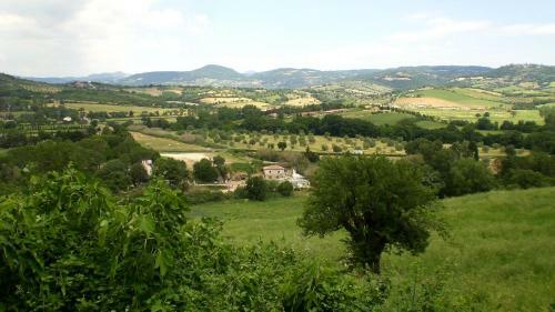 Agroturismo Il Girasole Terzuolo