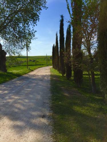 Agroturismo Il Girasole Terzuolo