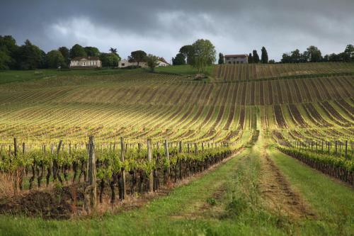 Bed & Breakfast Le Miroir Des Etoiles