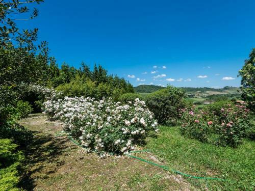 Holiday Home Campagnano Di Roma 1