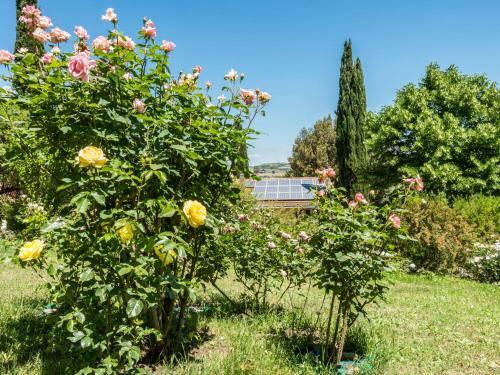 Holiday Home Campagnano Di Roma 1