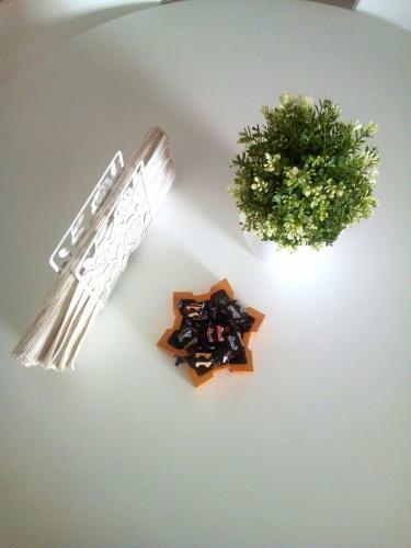 Albert Home